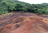 chamarel2