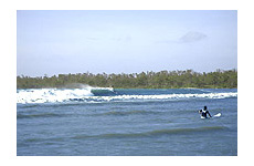 Tamarin Public Beach, Mauritius