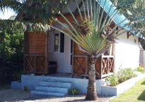 CREOLE CASE